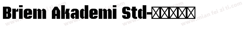 Briem Akademi Std字体转换